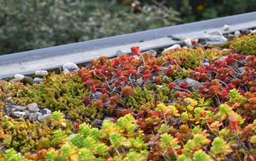 the cost of Basingstoke green roof installation