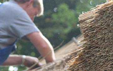 professional Basingstoke thatchers